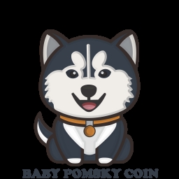 BABY POMSKY COIN