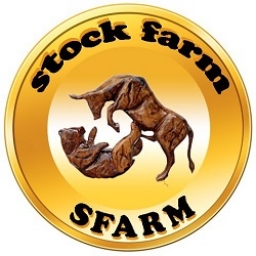 Stock farm