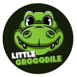 Little Crocodile