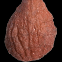 Ballsack