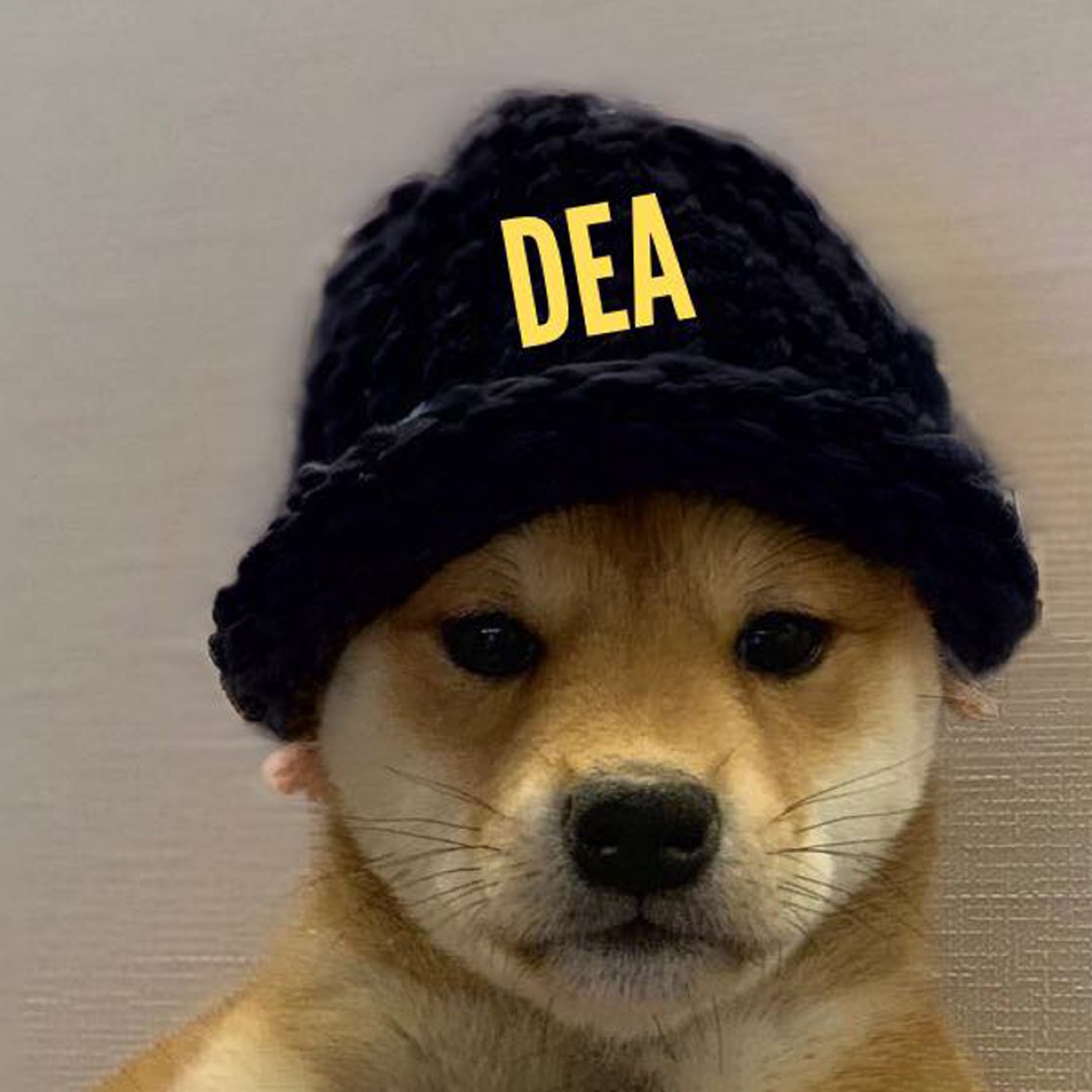 DOG ENFORCEMENT AGENCY