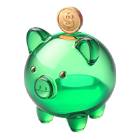 Piggy Bank Coin