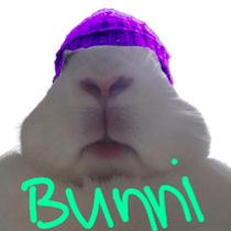 BunniWifHat