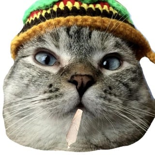 RASTACAT