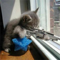 SniperCat