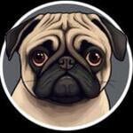 CHUG-coin---The-most-memeable-dog-coin-on-the-world  Trend Logo