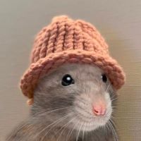 Ratwifhat