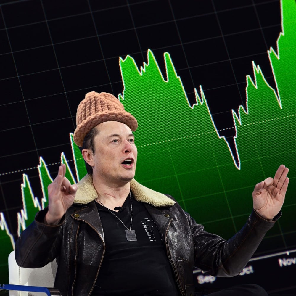 Elon Wif Hat