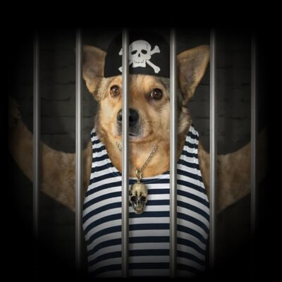 Doginjail