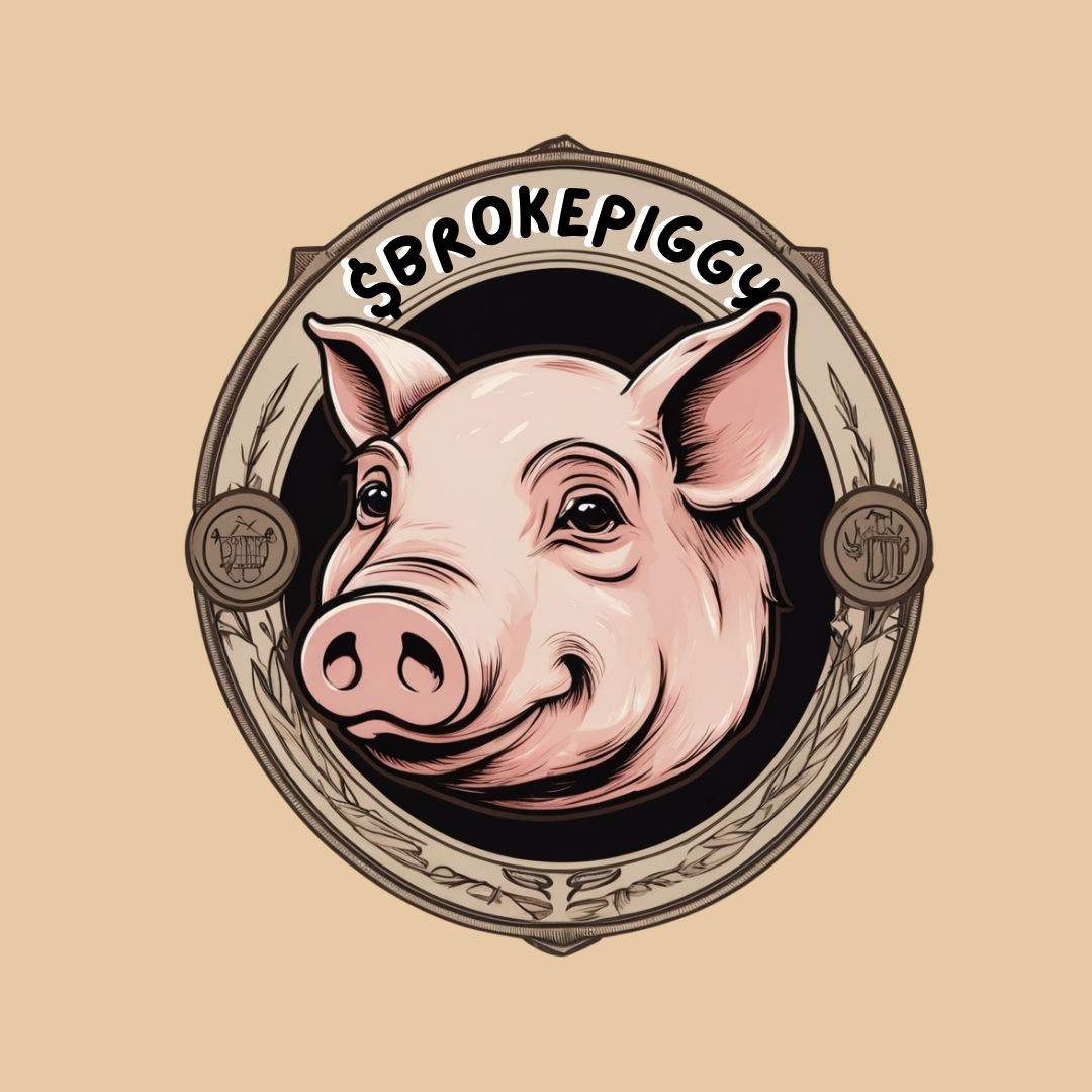 BROKEPIGGY