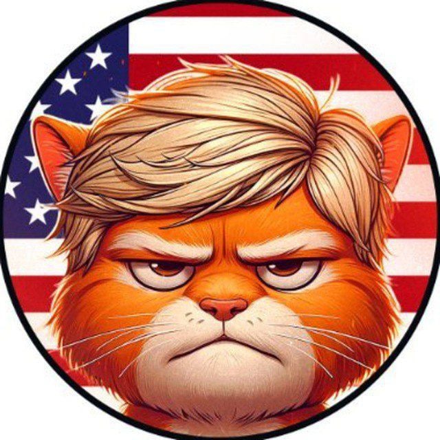 TrumpCat