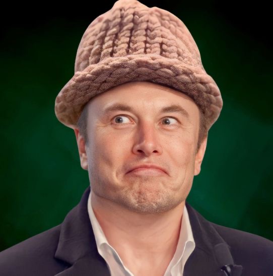 Elon Musk Wif Hats