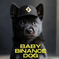 BABY BINANCEDOG