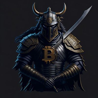 Bitcoin Warrior