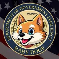 BabyDogeGov Logo