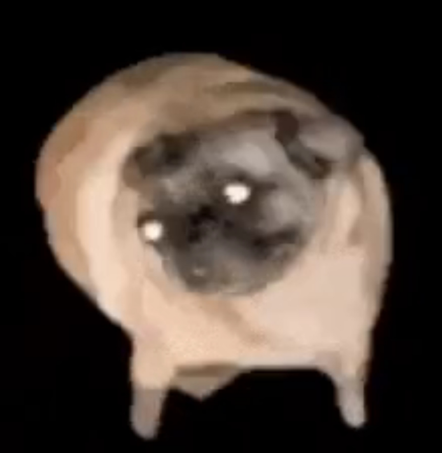 PUGDOG