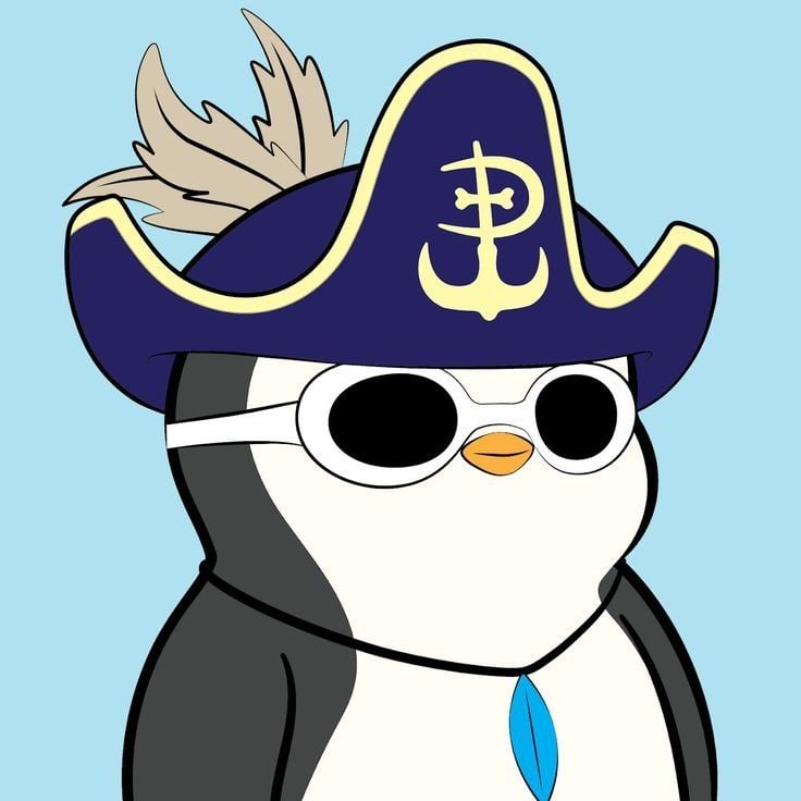 Pirate pengu