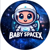 BabySpaceX