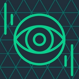 YoYo-Vision Logo