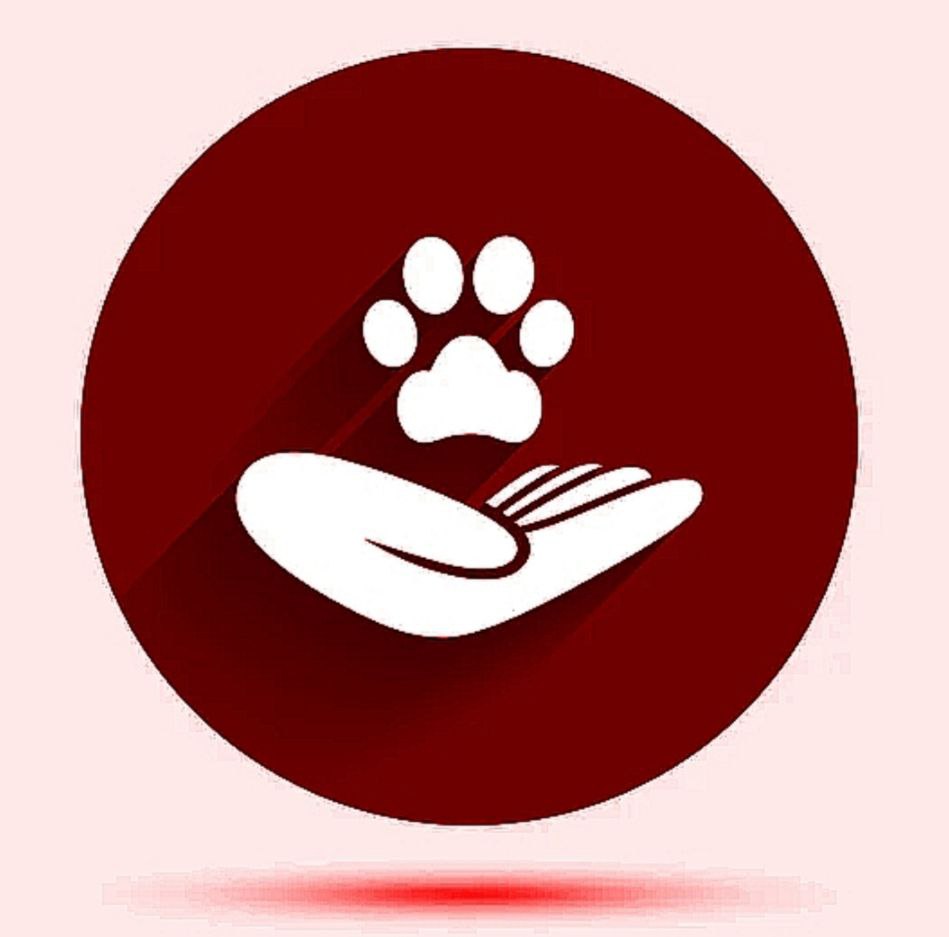 RED POW