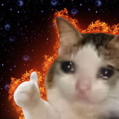HodlCat
