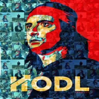 Just Hodl