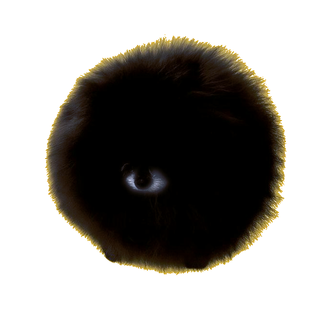 YOUSHAN--HOMUNCULUS--DOG  Trend Logo