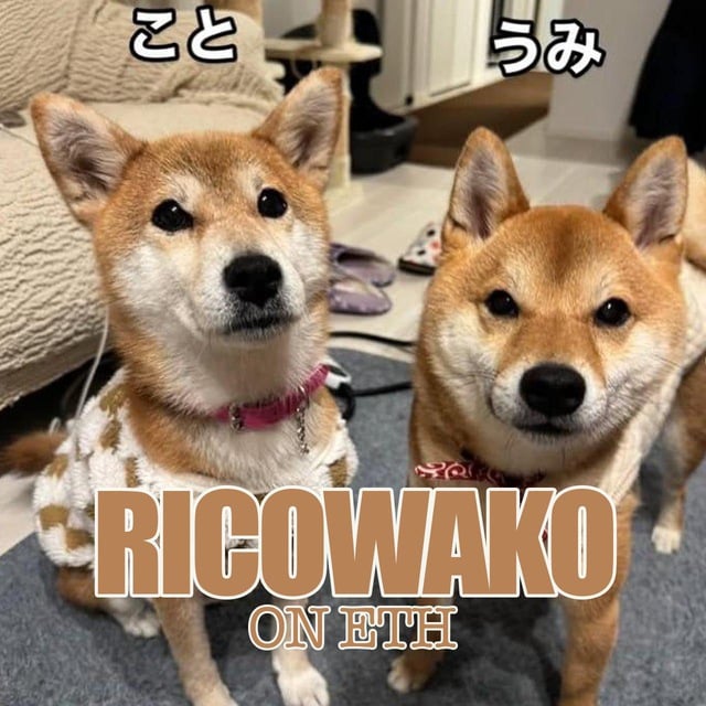 RICO-WAKO  Trend Logo