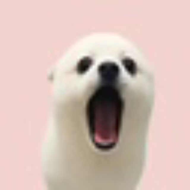 POPDOG  Trend Logo
