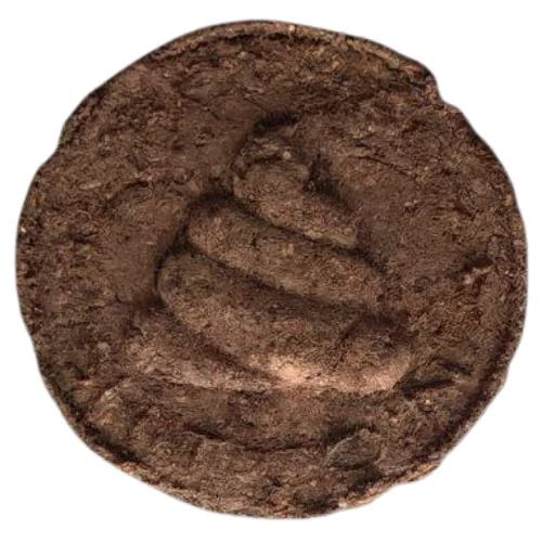 Actual-Shitcoin  Trend Logo