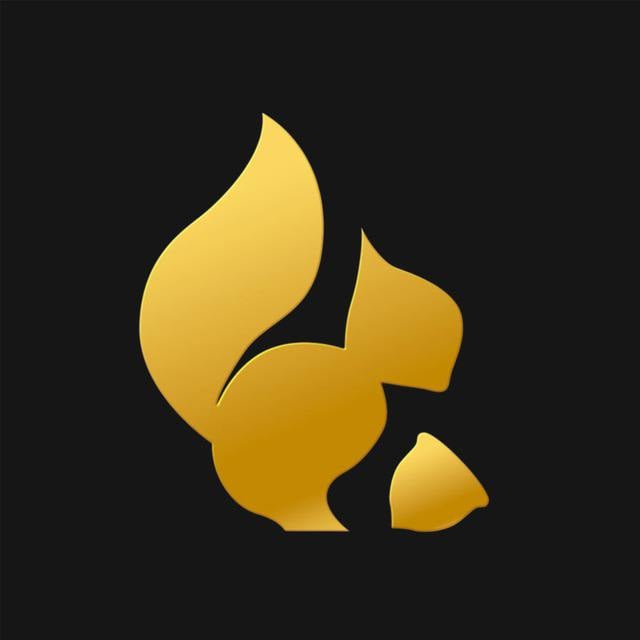 Squirrel Technologies logo