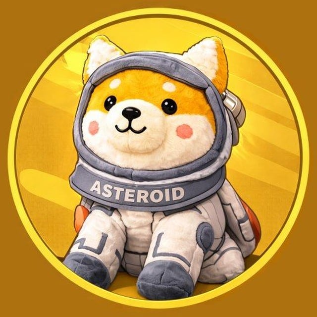 FIRST ASTEROID