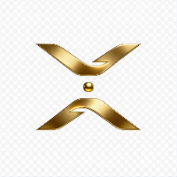 XVO Logo