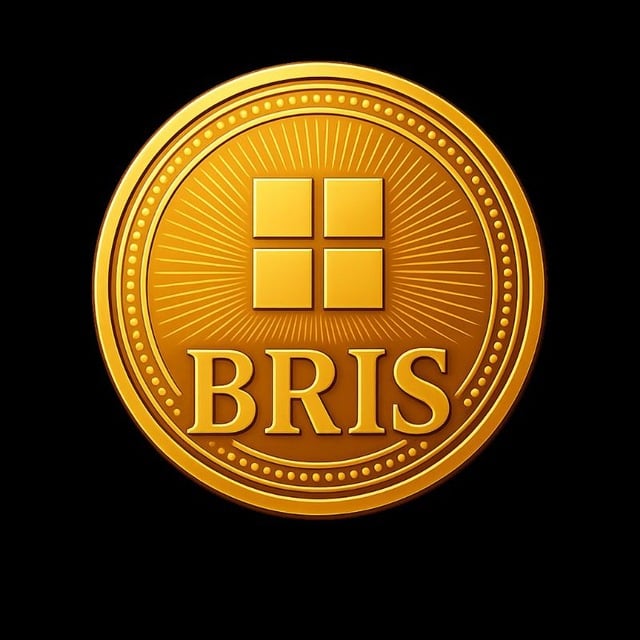 BRIS TOKEN Logo
