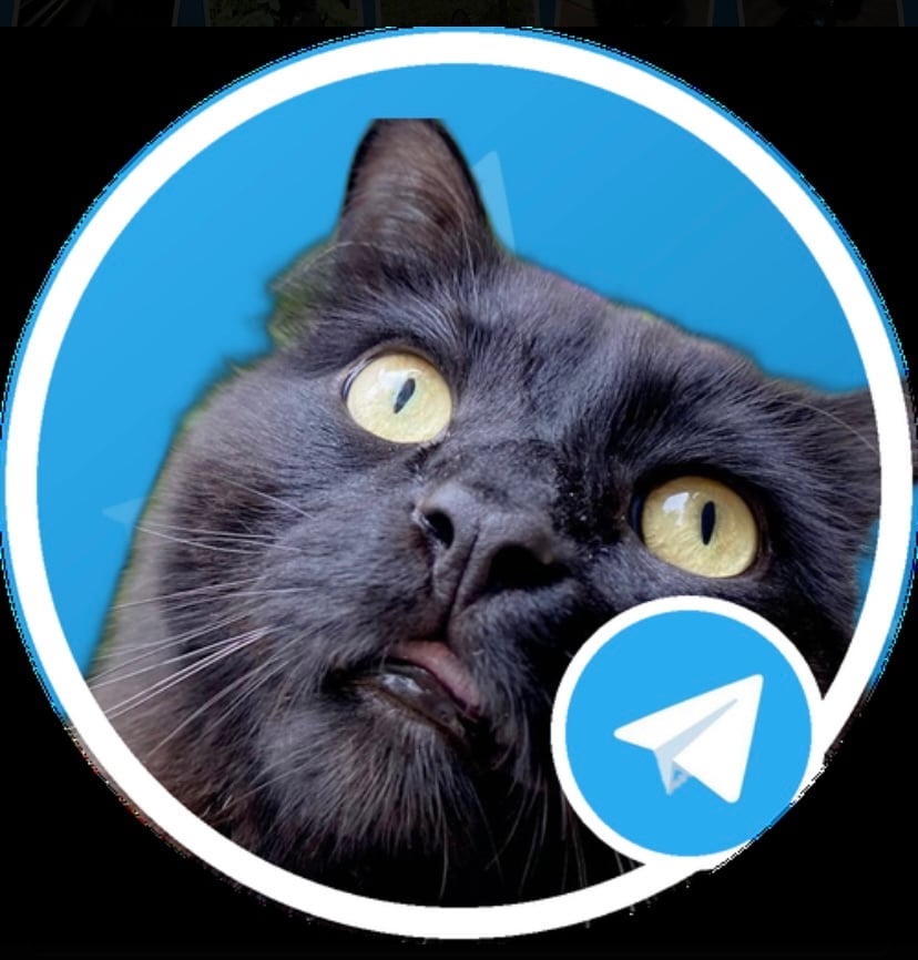 Merlin the Cat Logo