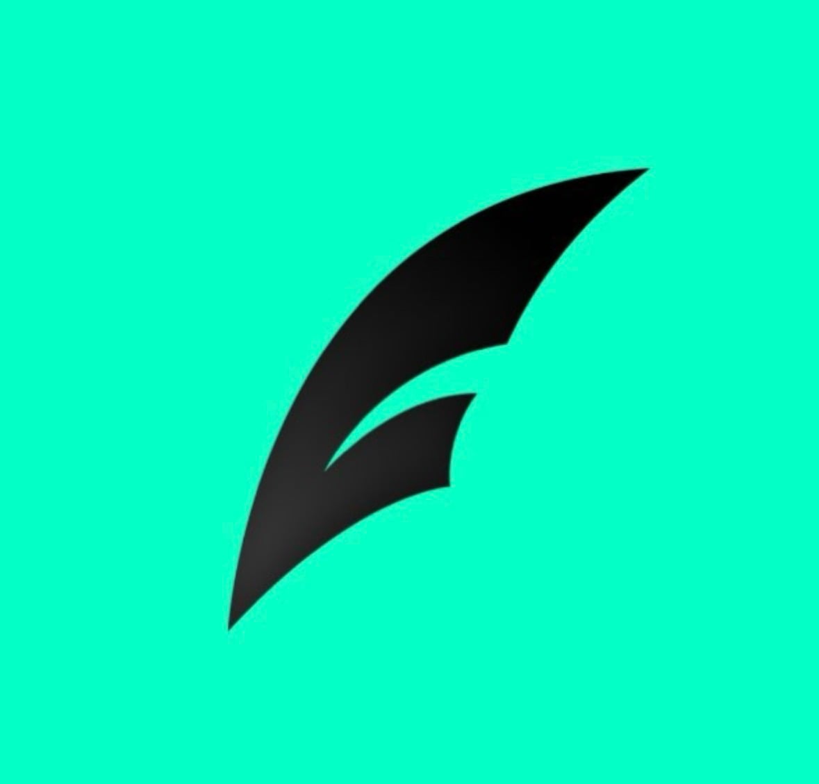 PLUME CTO Logo