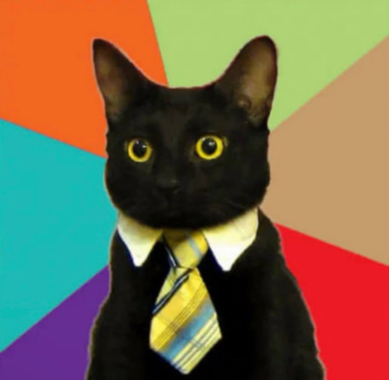 Business Cat Logo
