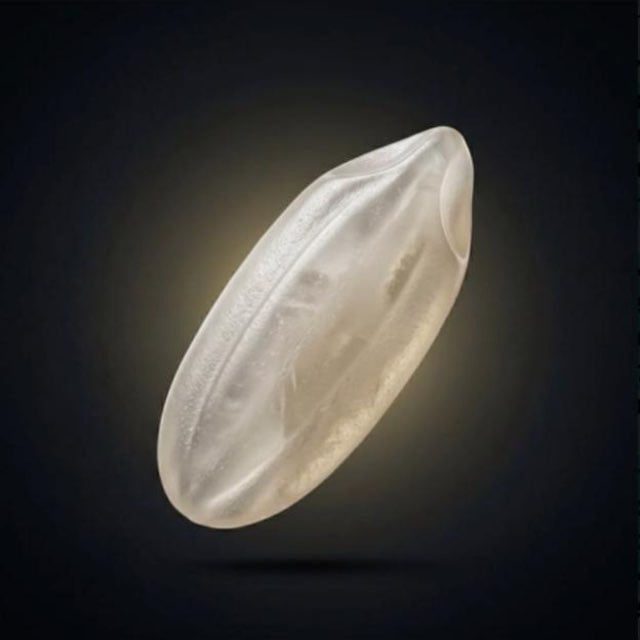 1 Grain of rice Logo