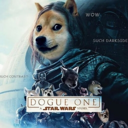 DOGUE-ONE Logo