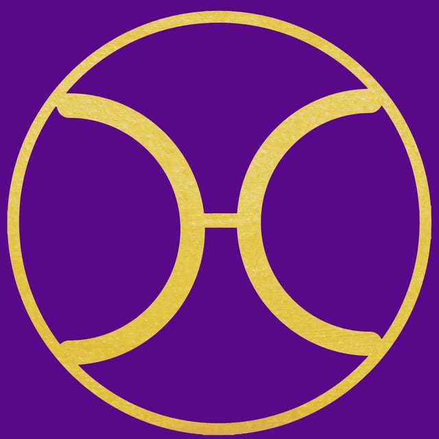 HYV protocol Logo