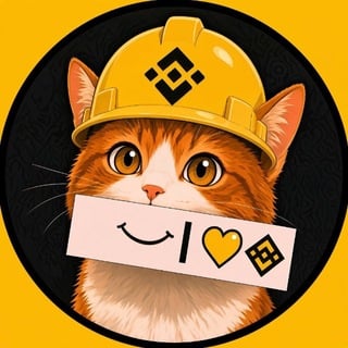 Binance Cat bsc Logo