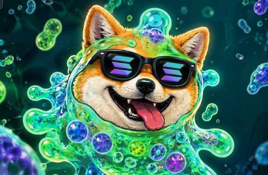 Shibamoeba Logo
