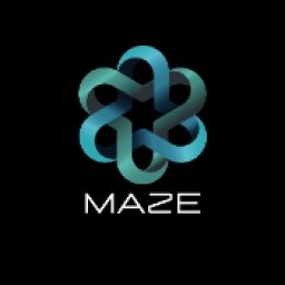 MAZE TOKEN