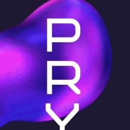 Pry.finance Logo