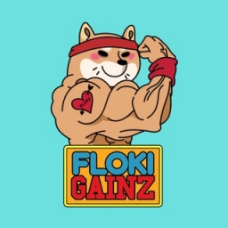 FlokiGainz