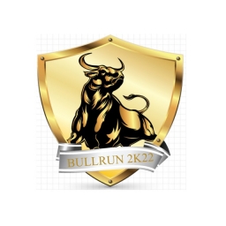 BULLRUN3K22 Logo