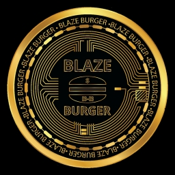 Blaze Burger Finance