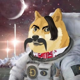 Ukranina Doge