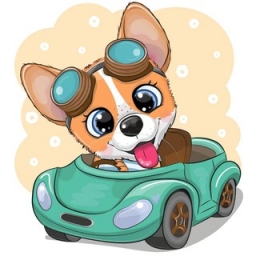 Doge-Car Logo