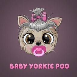 Baby-Yorkie-Poo  Trend Logo